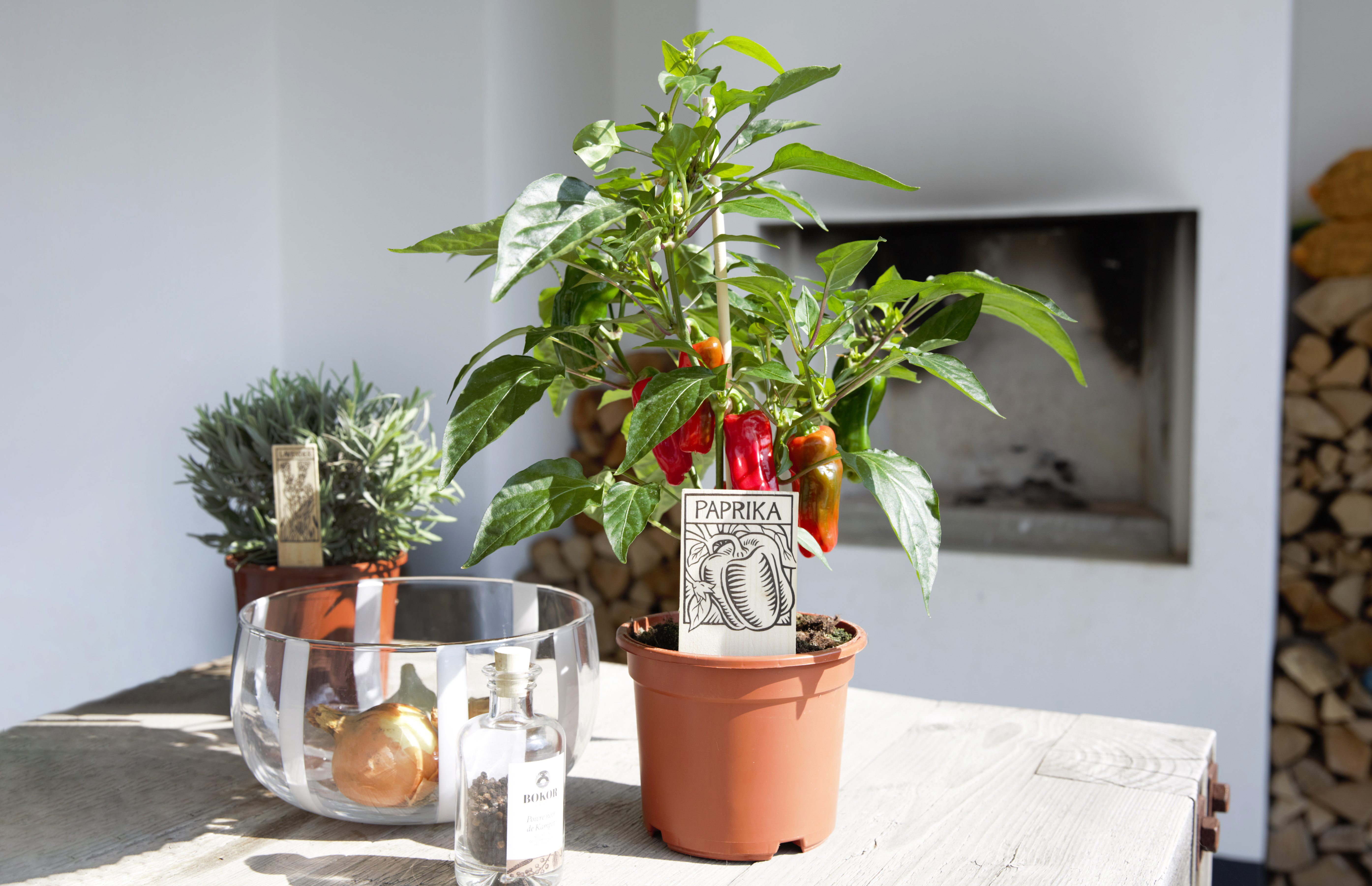 3Titel in het Nederlands van het Inspiratie Kolom Block