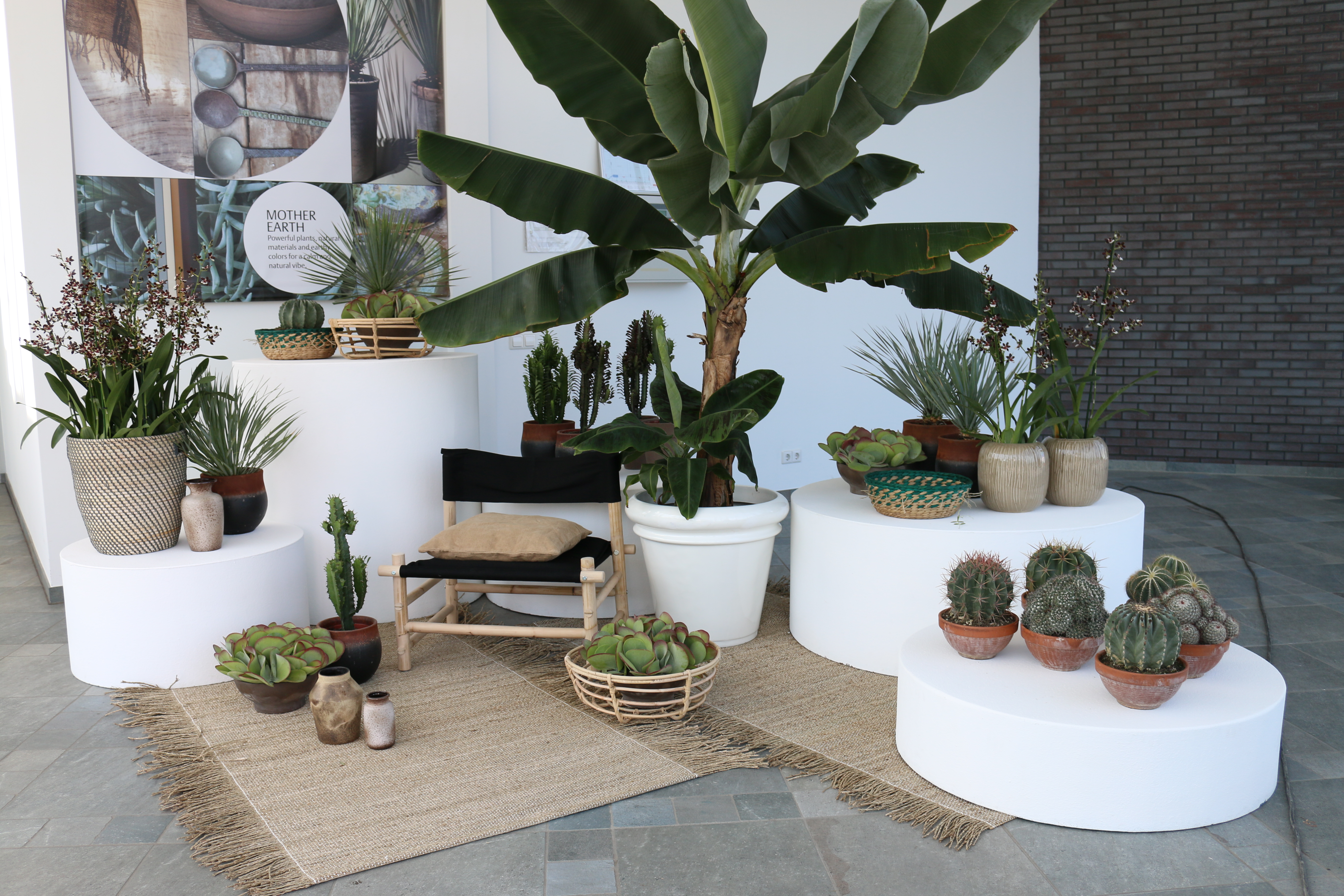 2Titel in het Nederlands van het Inspiratie Kolom Block